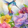 Colibri