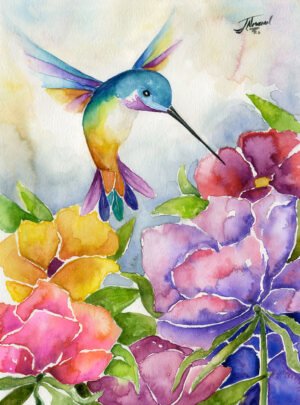 Colibri
