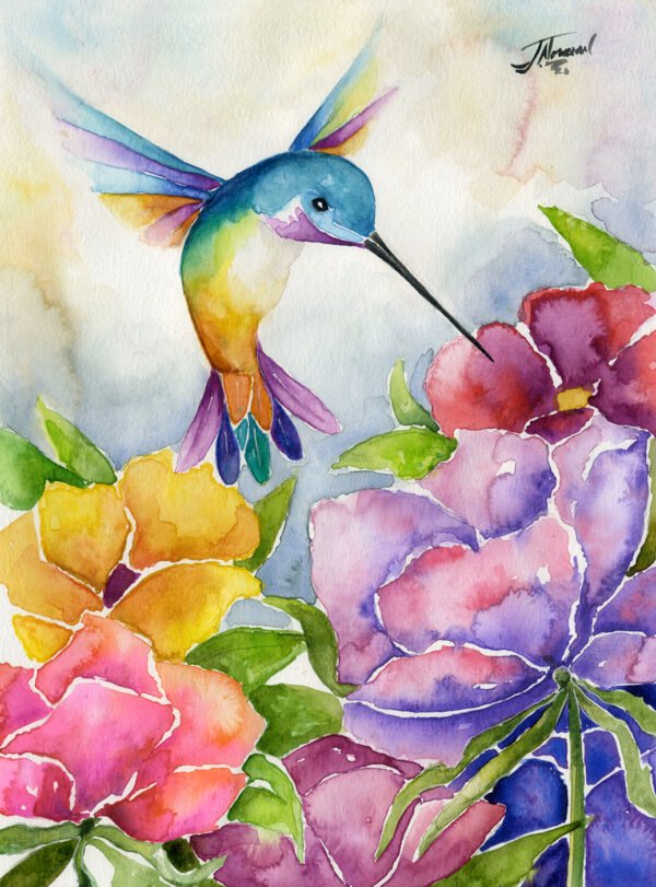 Colibri