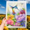 Colibri