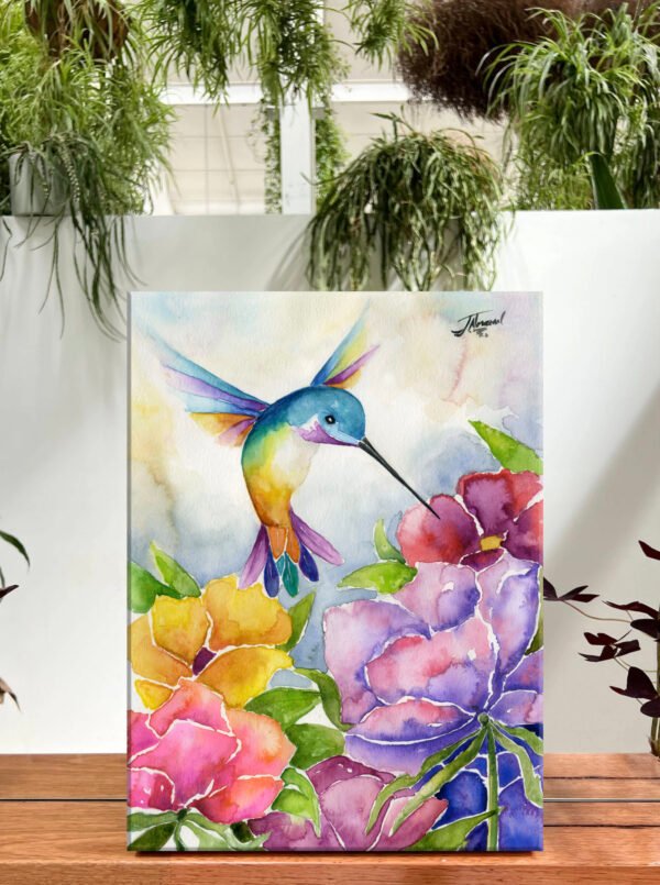 Colibri