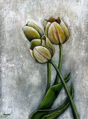 Tulips